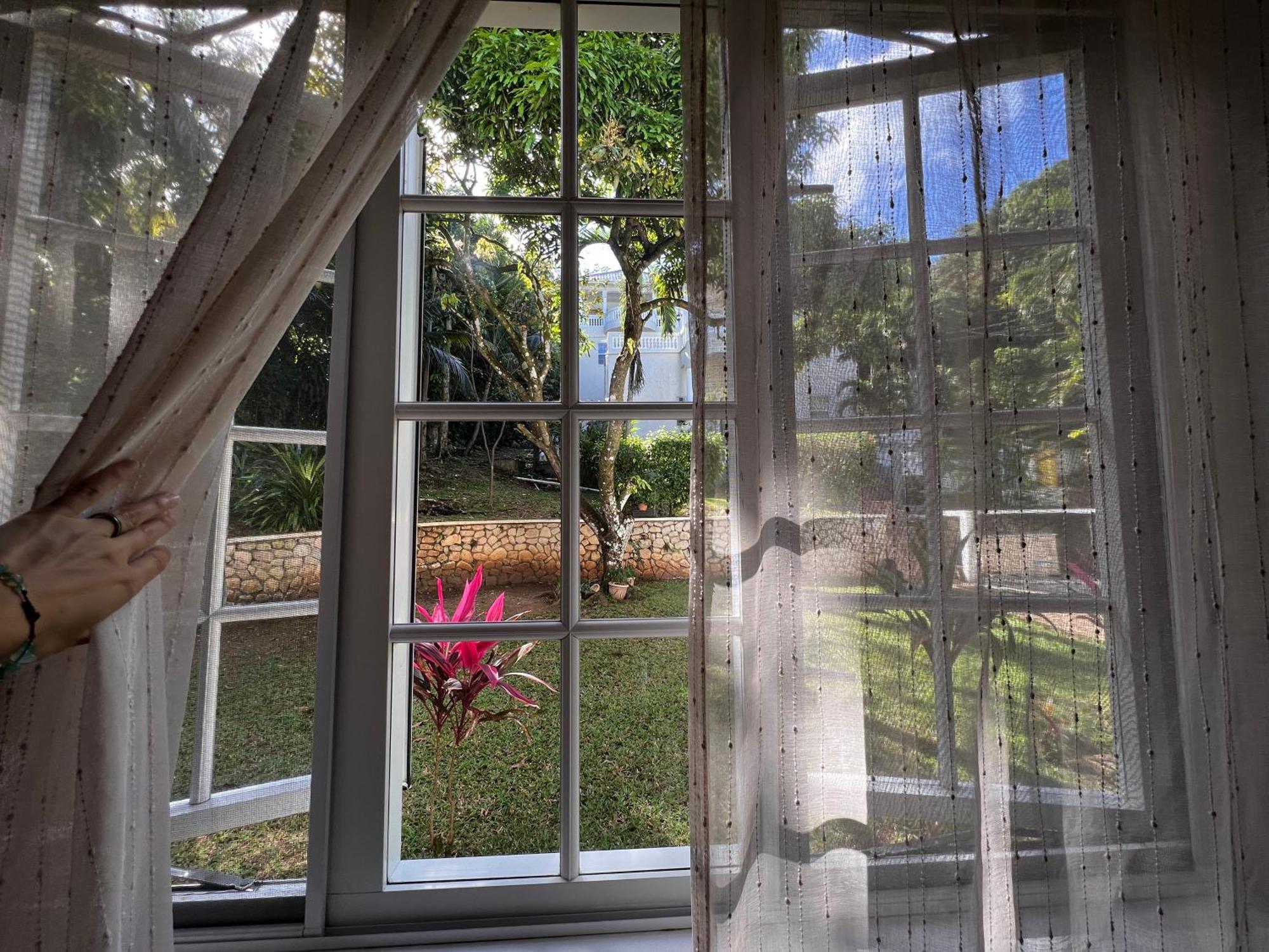 All Nations Guest House ポート・アントニオ エクステリア 写真