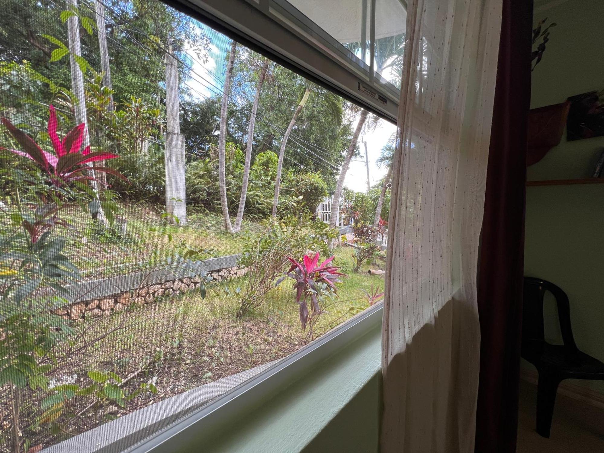 All Nations Guest House ポート・アントニオ 部屋 写真